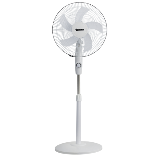 FAN017
